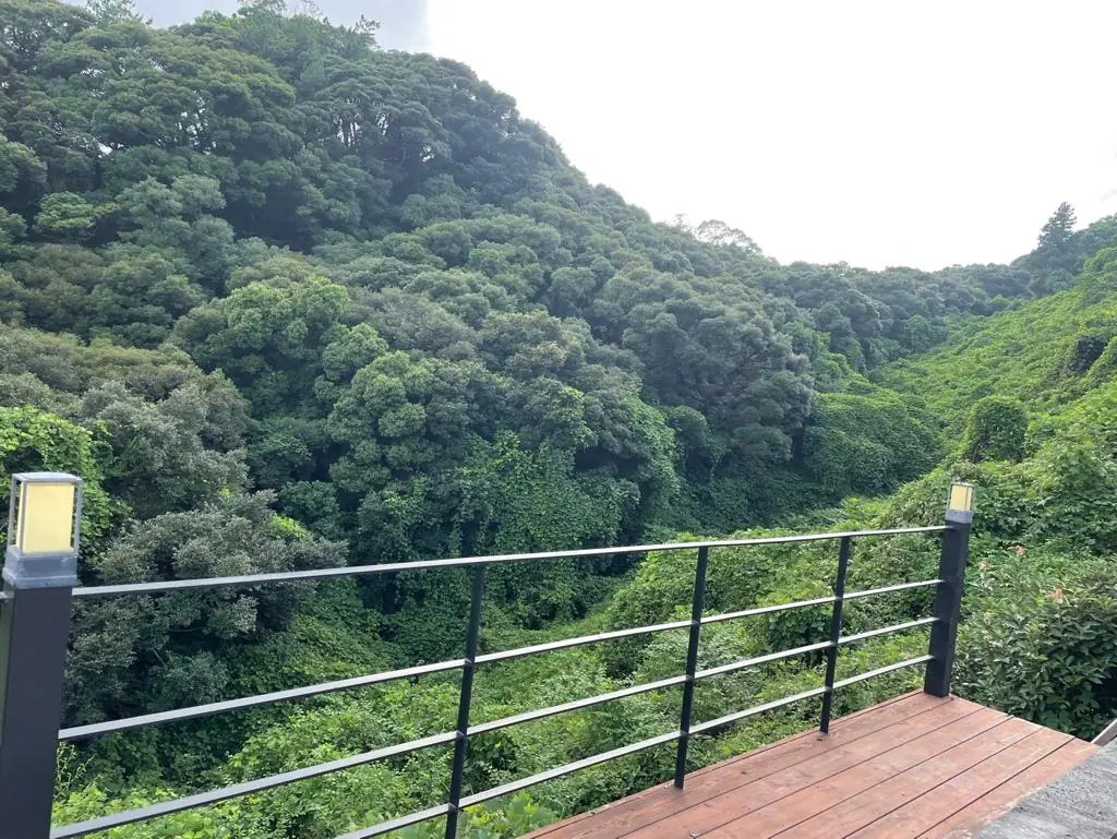 The stone terrace, facing the forest