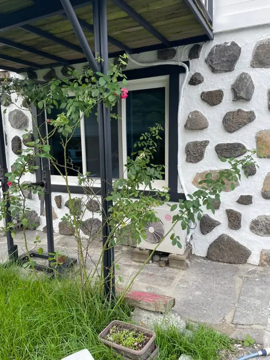 Hoa leo trên tường đá basalt