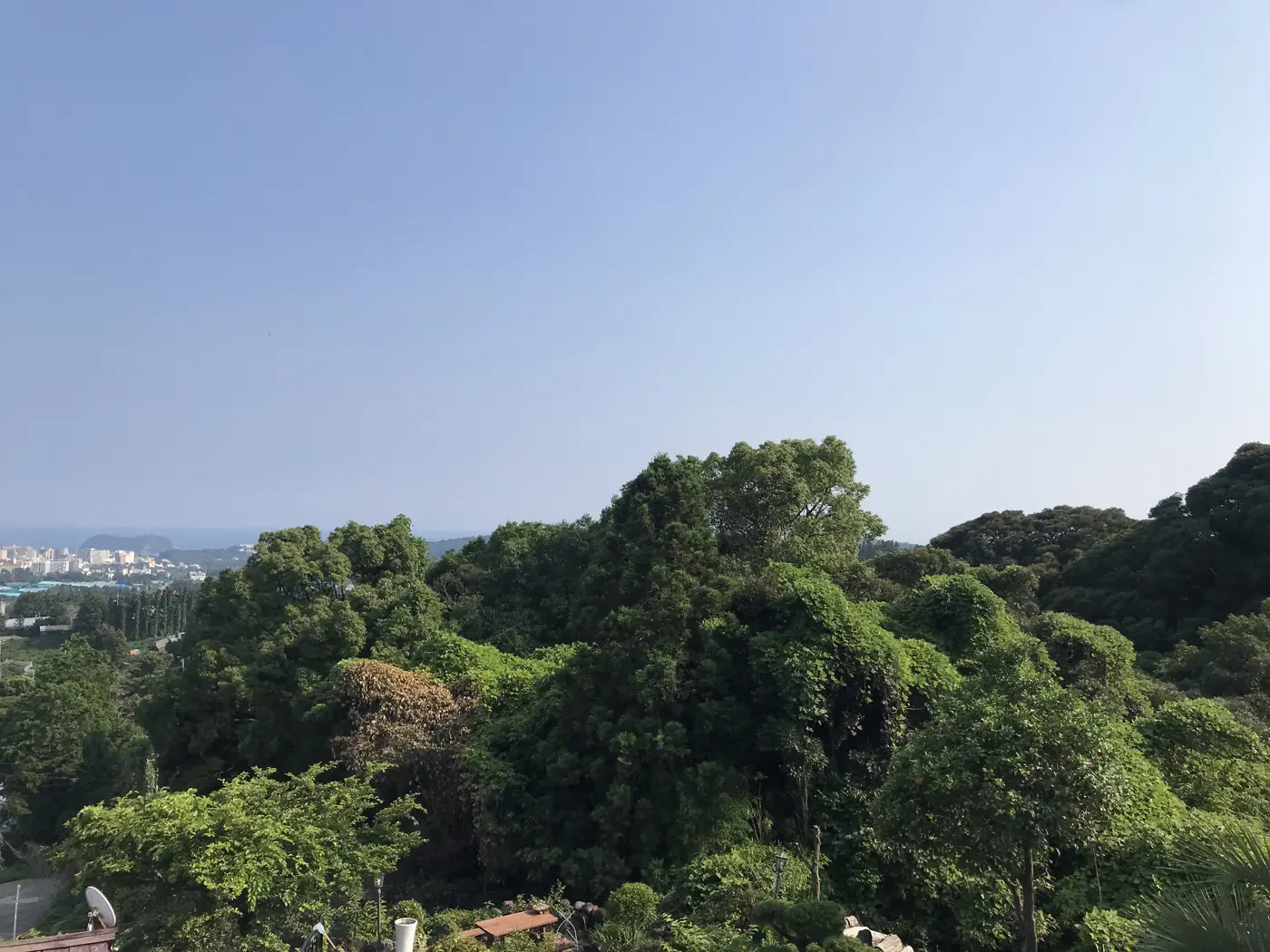 Nhìn ra biển buổi sáng