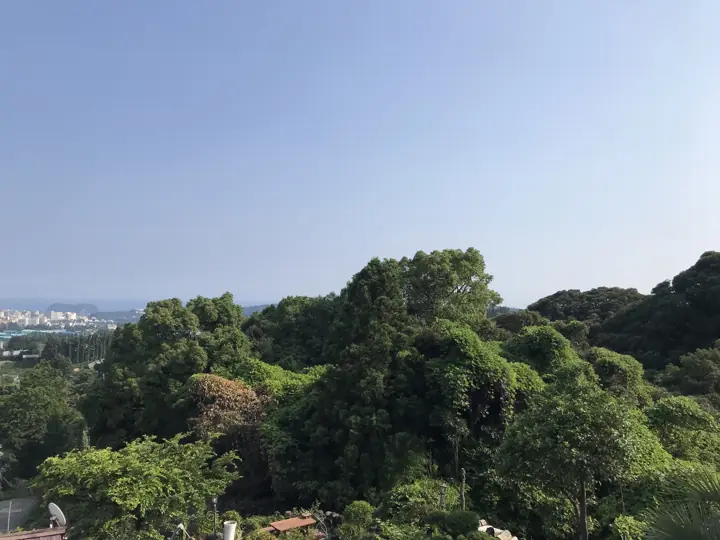 Nhìn ra biển buổi sáng